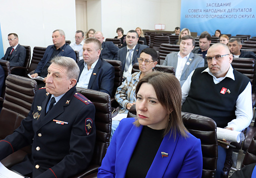 На заседании городского Совета полицейские отчитались о своей работе по итогам 2024 года
